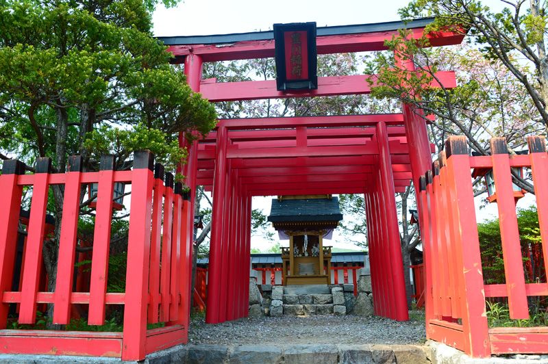 chuỗi các Torii ở công viên Edo chuỗi các Torii ở công viên Edo